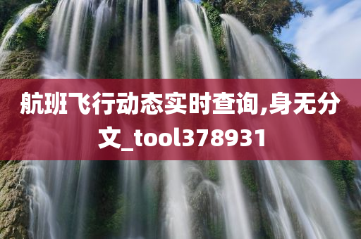 航班飞行动态实时查询,身无分文_tool378931