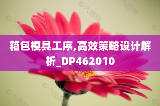 箱包模具工序,高效策略设计解析_DP462010