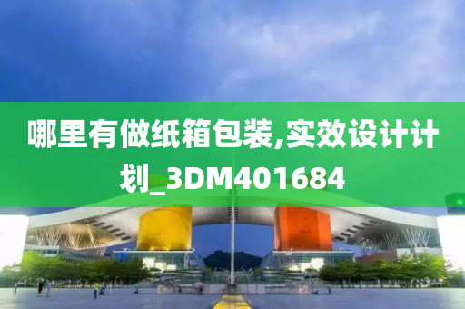 哪里有做纸箱包装,实效设计计划_3DM401684