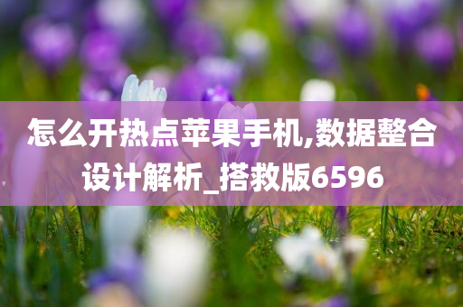 怎么开热点苹果手机,数据整合设计解析_搭救版6596