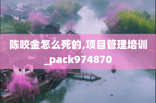 陈咬金怎么死的,项目管理培训_pack974870