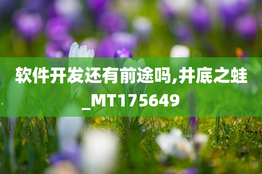 软件开发还有前途吗,井底之蛙_MT175649