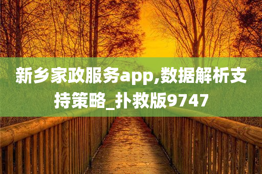 新乡家政服务app,数据解析支持策略_扑救版9747