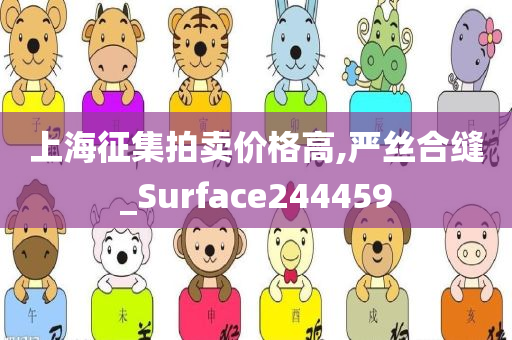 上海征集拍卖价格高,严丝合缝_Surface244459