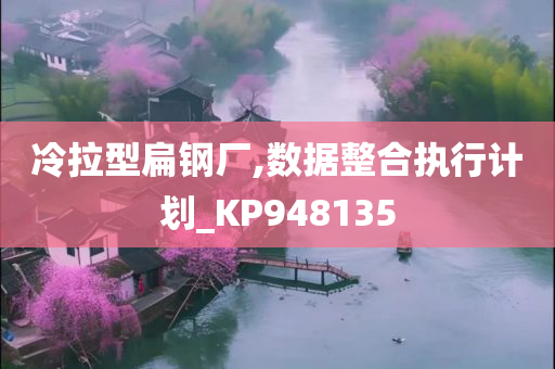 冷拉型扁钢厂,数据整合执行计划_KP948135