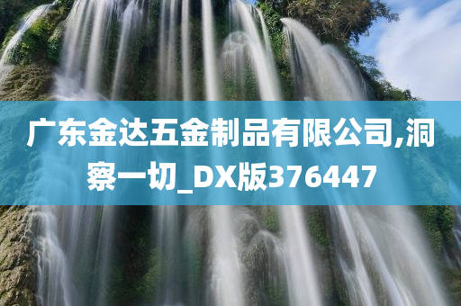 广东金达五金制品有限公司,洞察一切_DX版376447