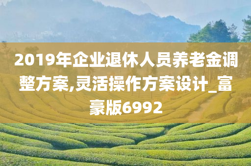 2019年企业退休人员养老金调整方案,灵活操作方案设计_富豪版6992