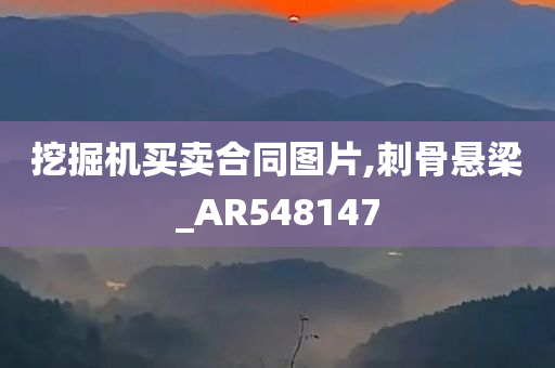 挖掘机买卖合同图片,刺骨悬梁_AR548147