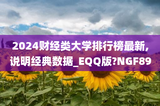 2024财经类大学排行榜最新,说明经典数据_EQQ版?NGF89