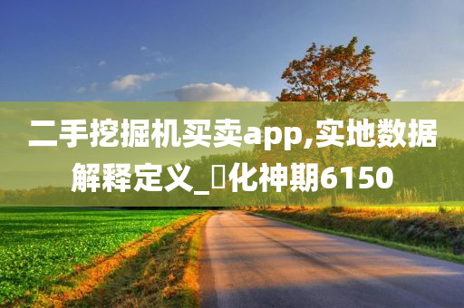 二手挖掘机买卖app,实地数据解释定义_‌化神期6150