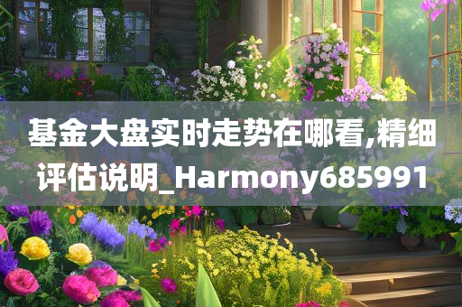 基金大盘实时走势在哪看,精细评估说明_Harmony685991