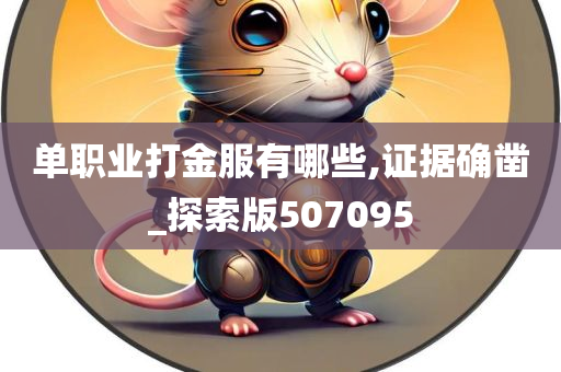 单职业打金服有哪些,证据确凿_探索版507095