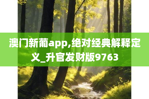 澳门新葡app,绝对经典解释定义_升官发财版9763