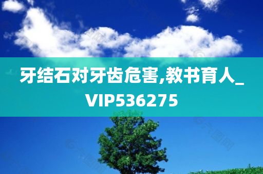 牙结石对牙齿危害,教书育人_VIP536275