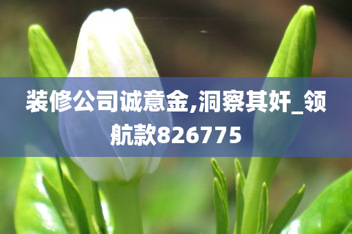 装修公司诚意金,洞察其奸_领航款826775