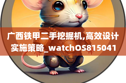 广西铁甲二手挖掘机,高效设计实施策略_watchOS815041