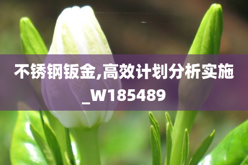 不锈钢钣金,高效计划分析实施_W185489