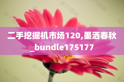 二手挖掘机市场120,墨洒春秋_bundle175177