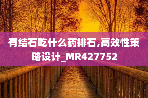 有结石吃什么药排石,高效性策略设计_MR427752