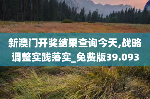 新澳门开奖结果查询今天,战略调整实践落实_免费版39.093