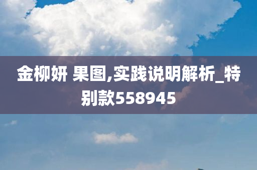 金柳妍 果图,实践说明解析_特别款558945