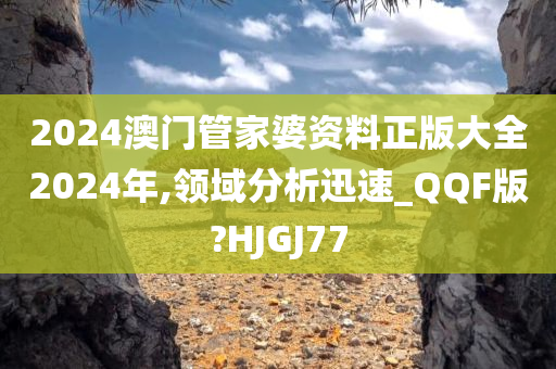 2024澳门管家婆资料正版大全2024年,领域分析迅速_QQF版?HJGJ77