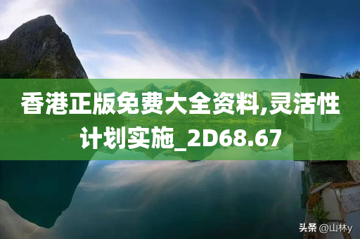 香港正版免费大全资料,灵活性计划实施_2D68.67