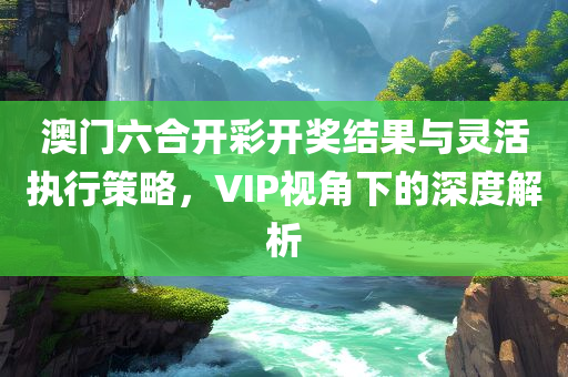 澳门六合开彩开奖结果与灵活执行策略，VIP视角下的深度解析