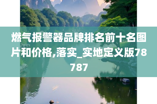 燃气报警器品牌排名前十名图片和价格,落实_实地定义版78787