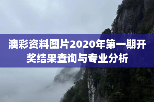 澳彩资料图片2020年第一期开奖结果查询与专业分析