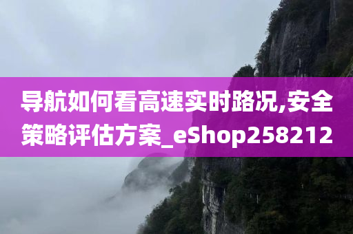 导航如何看高速实时路况,安全策略评估方案_eShop258212