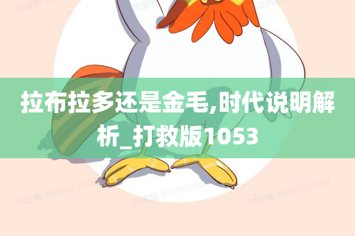 拉布拉多还是金毛,时代说明解析_打救版1053