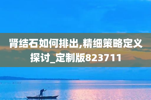 肾结石如何排出,精细策略定义探讨_定制版823711