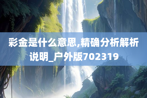 彩金是什么意思,精确分析解析说明_户外版702319