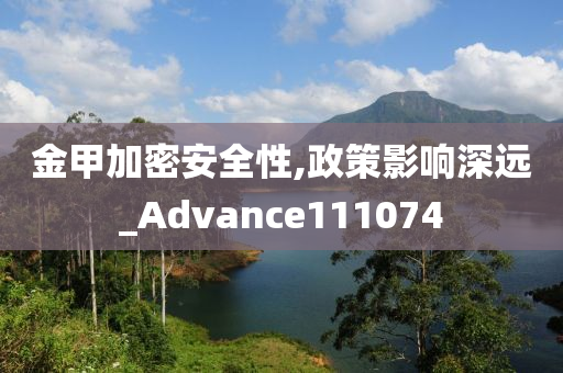 金甲加密安全性,政策影响深远_Advance111074