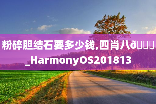 粉碎胆结石要多少钱,四肖八🐎_HarmonyOS201813