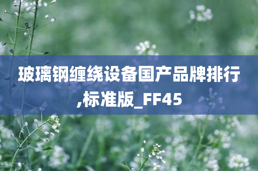 玻璃钢缠绕设备国产品牌排行,标准版_FF45