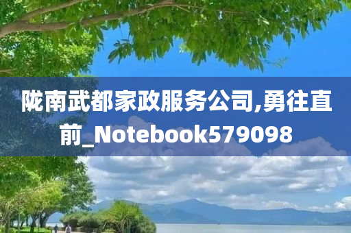 陇南武都家政服务公司,勇往直前_Notebook579098