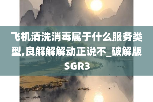 飞机清洗消毒属于什么服务类型,良解解解动正说不_破解版SGR3