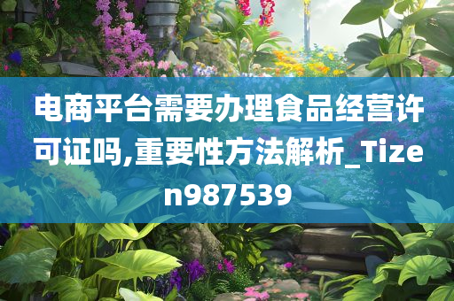 电商平台需要办理食品经营许可证吗,重要性方法解析_Tizen987539