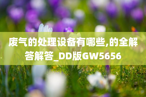 废气的处理设备有哪些,的全解答解答_DD版GW5656