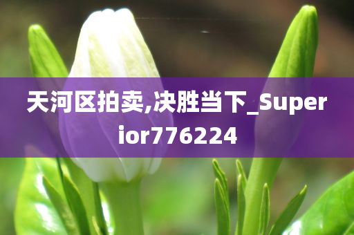 天河区拍卖,决胜当下_Superior776224