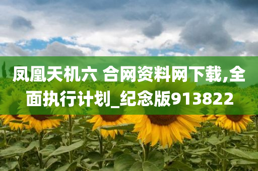 凤凰天机六 合网资料网下载,全面执行计划_纪念版913822