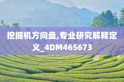 挖掘机方向盘,专业研究解释定义_4DM465673