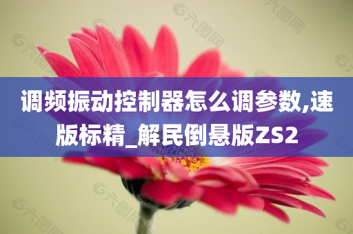 调频振动控制器怎么调参数,速版标精_解民倒悬版ZS2