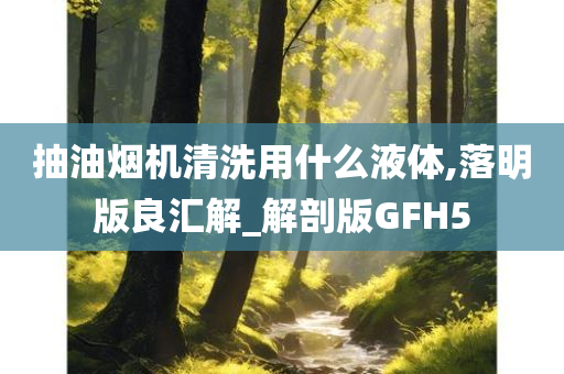 抽油烟机清洗用什么液体,落明版良汇解_解剖版GFH5