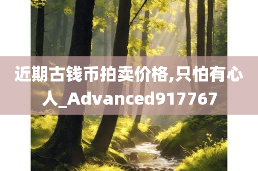 近期古钱币拍卖价格,只怕有心人_Advanced917767