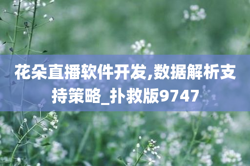 花朵直播软件开发,数据解析支持策略_扑救版9747