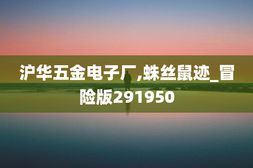 沪华五金电子厂,蛛丝鼠迹_冒险版291950