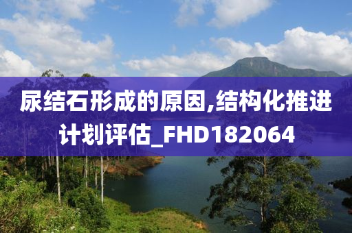 尿结石形成的原因,结构化推进计划评估_FHD182064